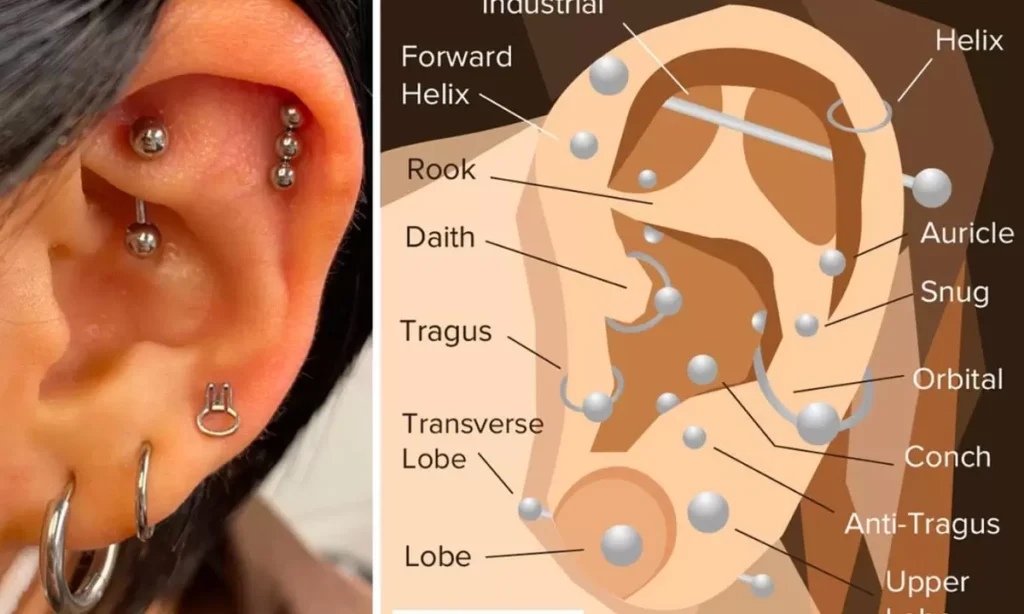 Different Types of Ear Piercings