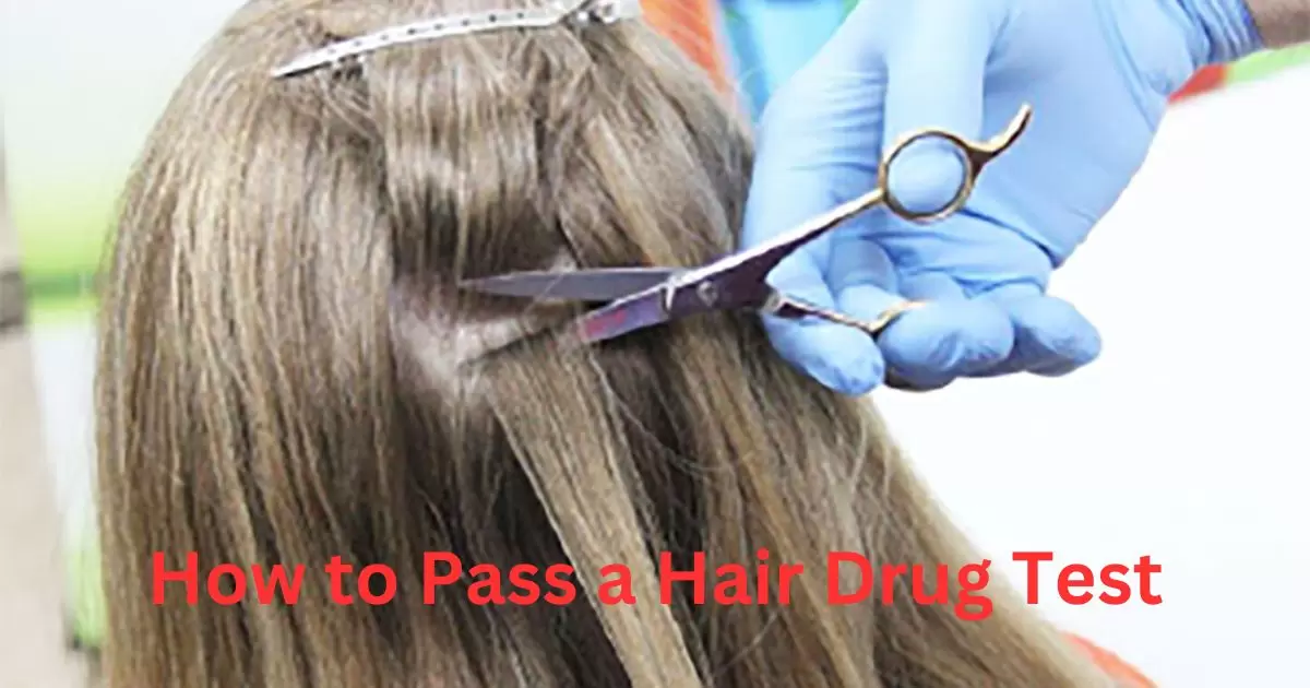 How to Pass a Hair Drug Test